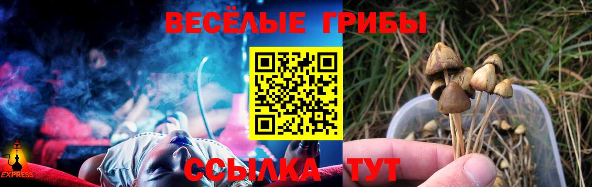 Галлюциногенные грибы ЛСД  Псилоцибиновые грибы Magic Shrooms  Каменка  Вход с VPN 